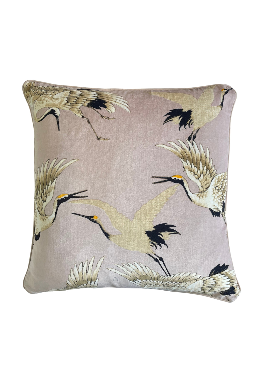 Stork Plaster Pink design velvet square cushion by One Hundred Stars