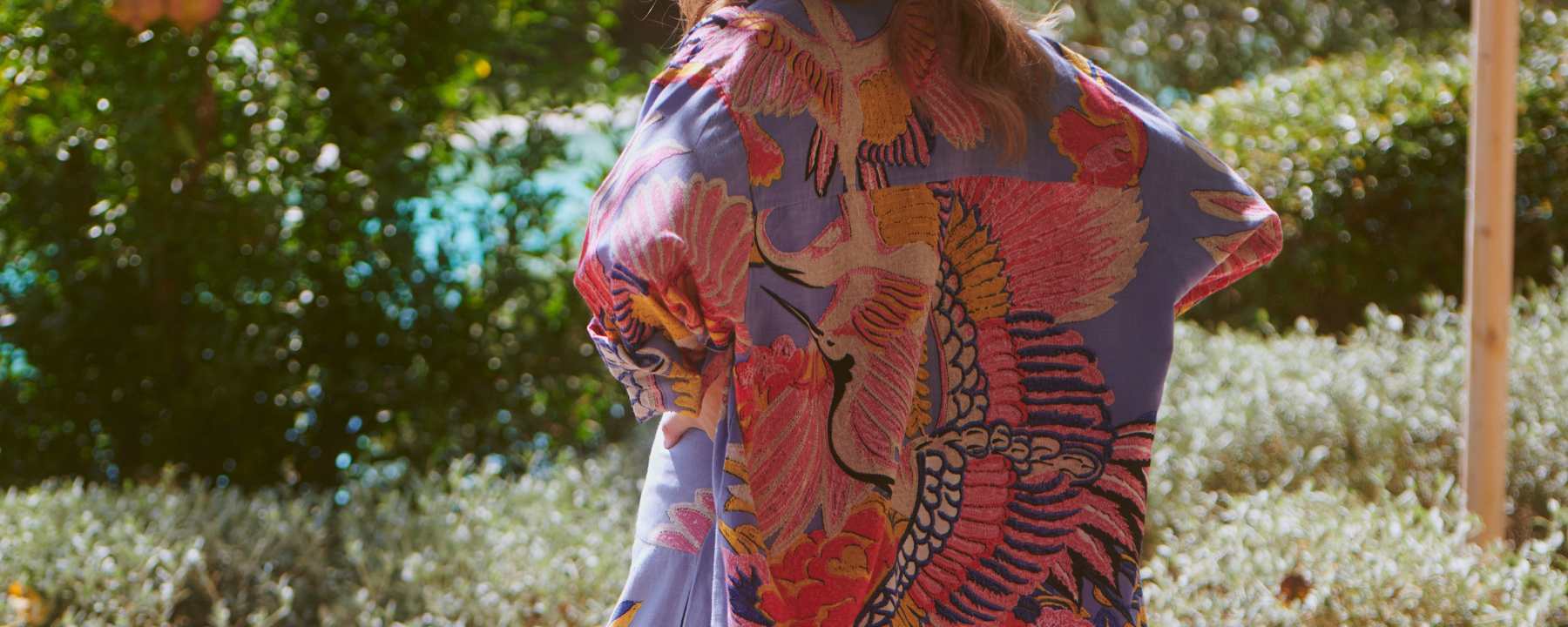 Animals & Insects - One Hundred Stars