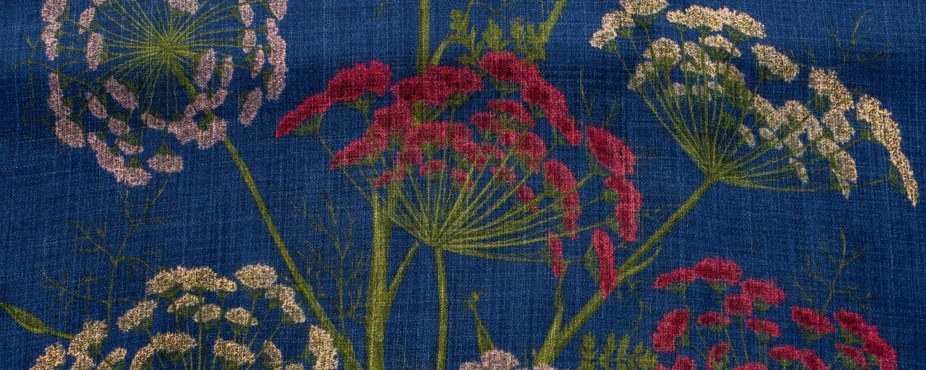 Parsley Seed - One Hundred Stars