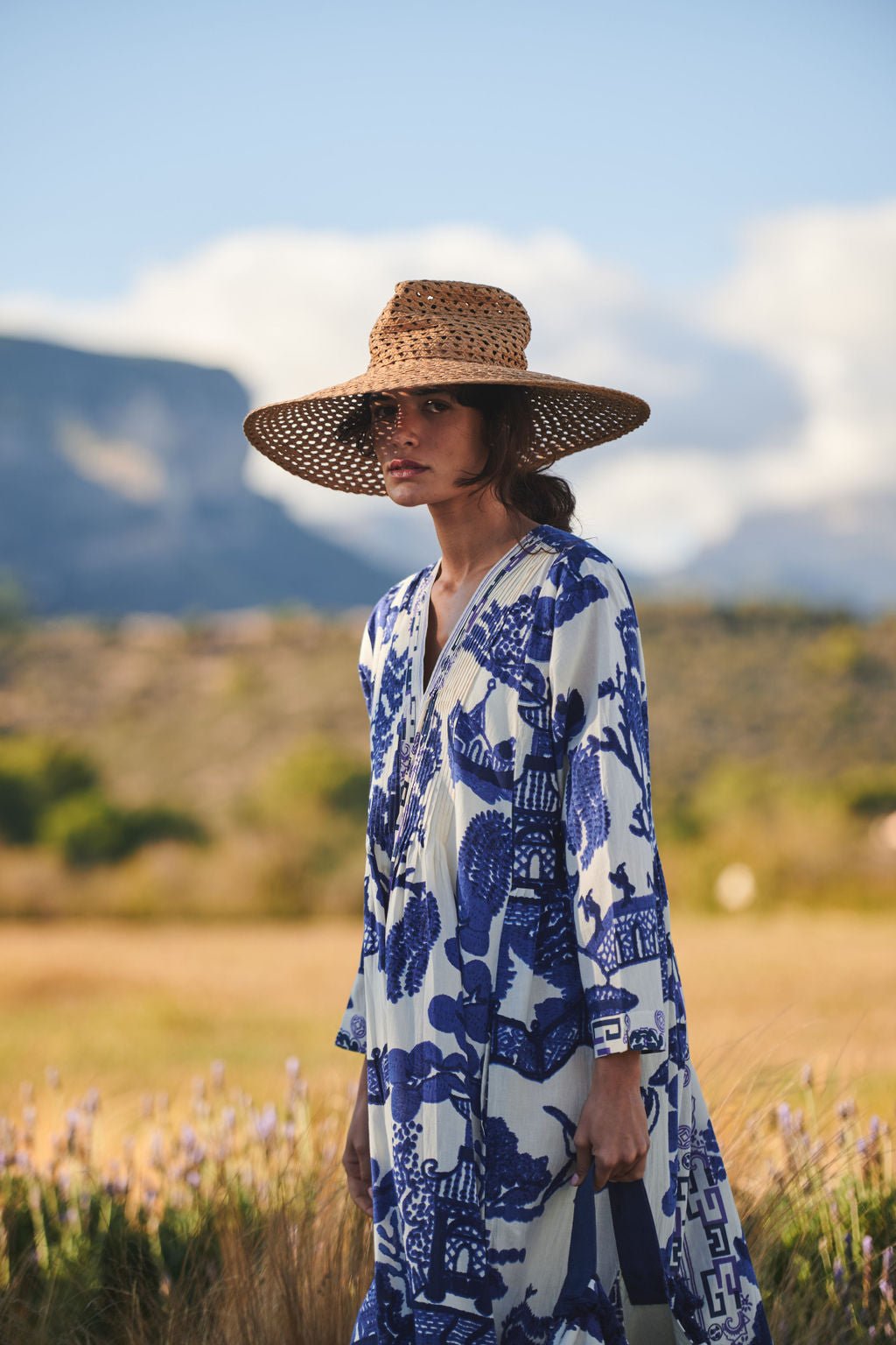 blue willow print dress One Hundred Stars Pinch Pleat Dress Giant Willow Blue