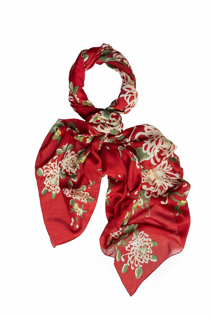 Chrysanthemum Red Scarf - One Hundred Stars