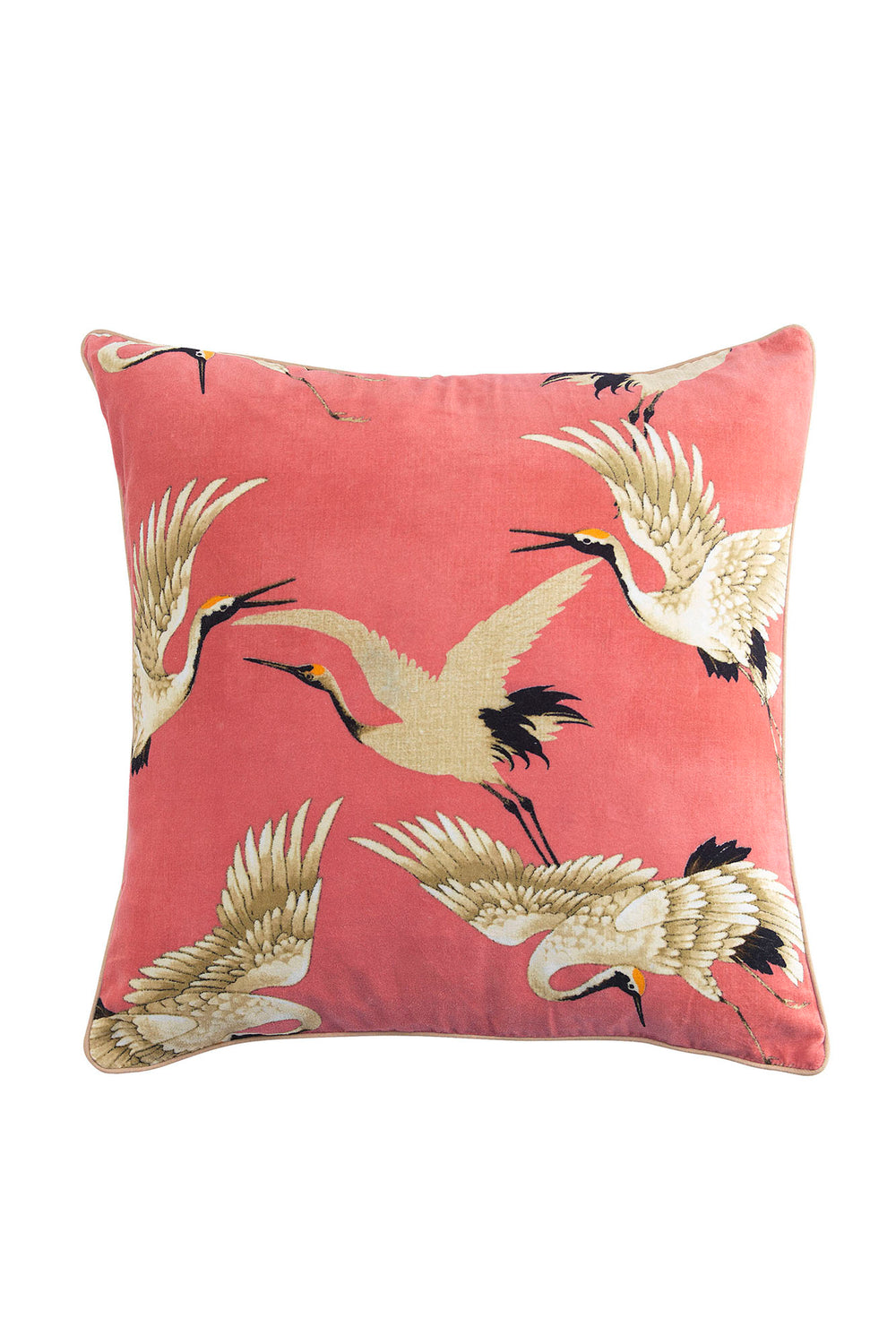 One Hundred Stars Stork Crane Lipstick Pink Square Velvet Cushion - These limited edition velvet cushions are 50cm x 50cm and can purchased with or without an ethically sourced duck feather inner. 